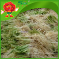 Yunnan allium hookeri supplier high quality garlic products